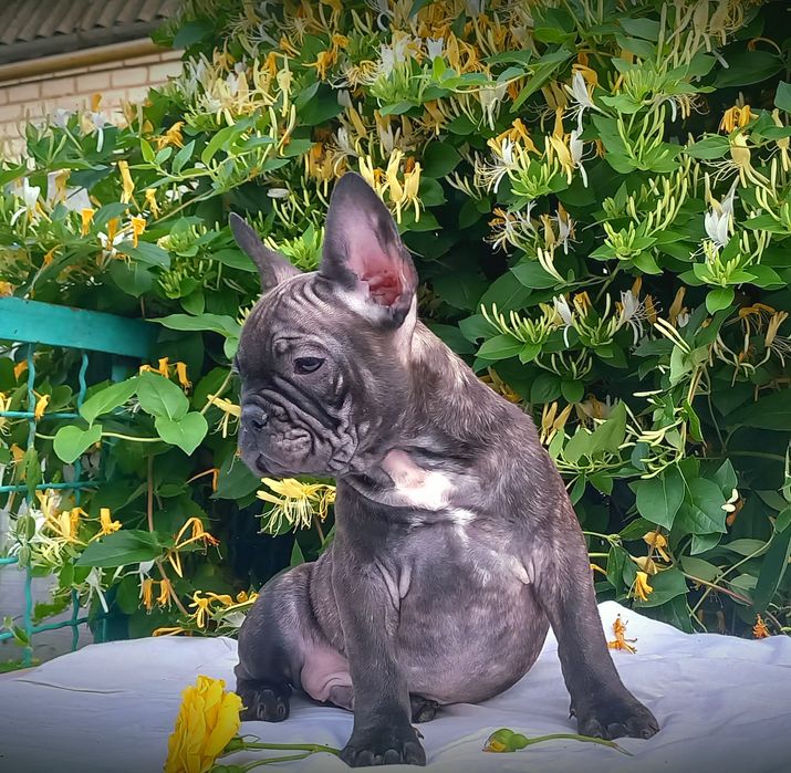 Мальчишка ждет семью