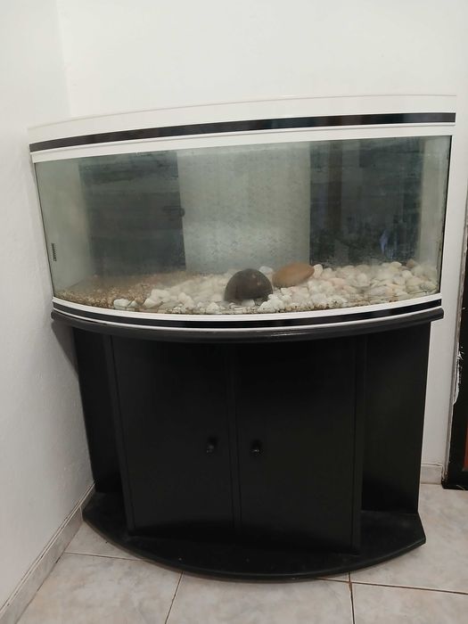 Vendo aquario completo
