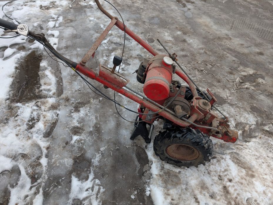 Ciągniczek Ogrodniczy MF70 Dzik Terra Vari Gutbrod