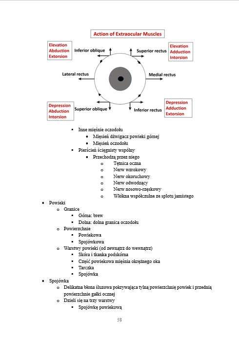 Notatki Anatomia WUM Lekarski