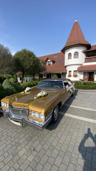 Cadillac 1973 ,Audi 1959,VW Garbus 1966