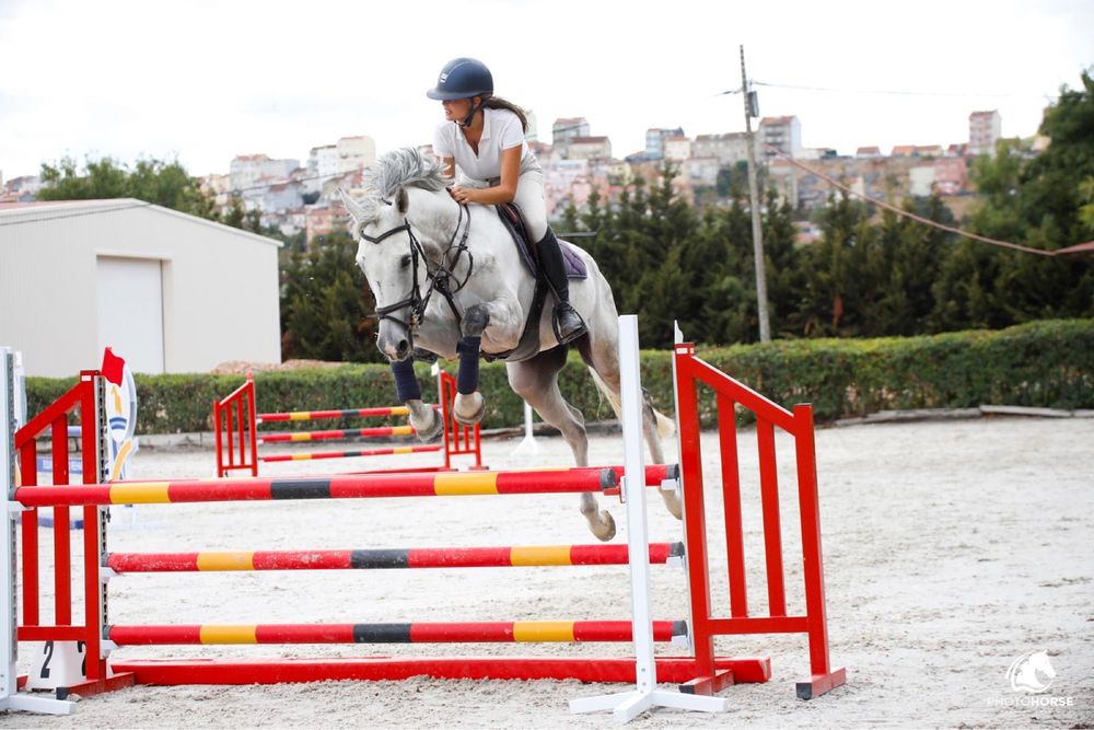 Cavalo de obstaculos BWP