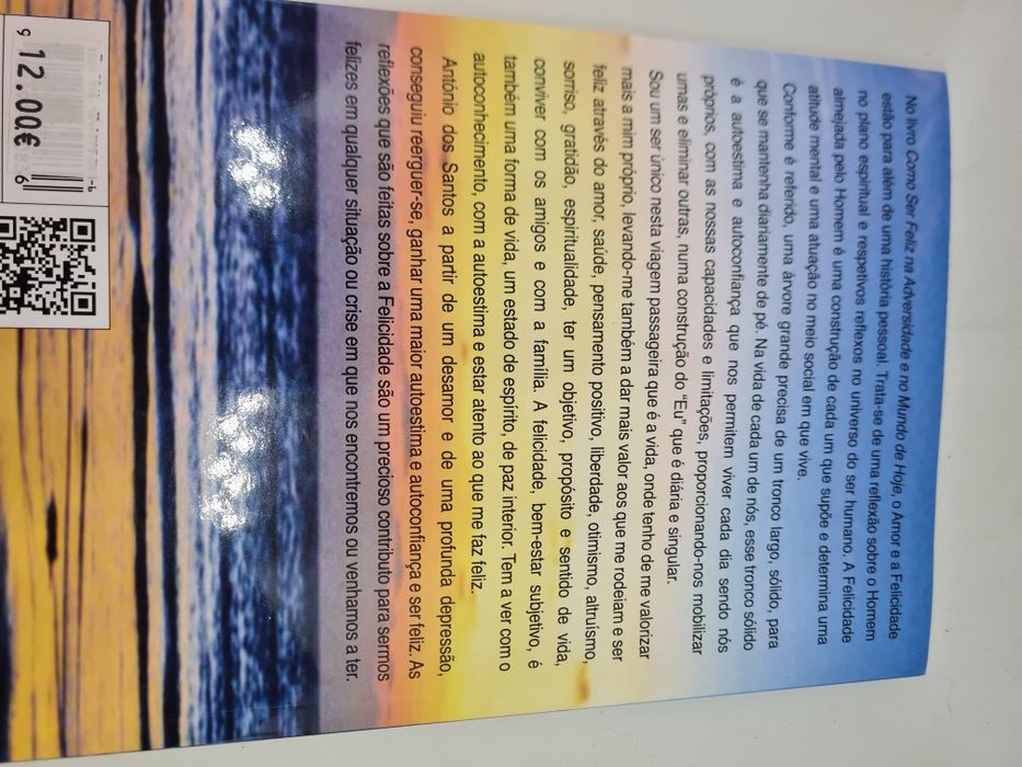 Como Ser Feliz na Adversidade e no Mundo de Hoje