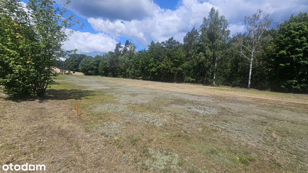 Działka budowlana ze ścianą lasu