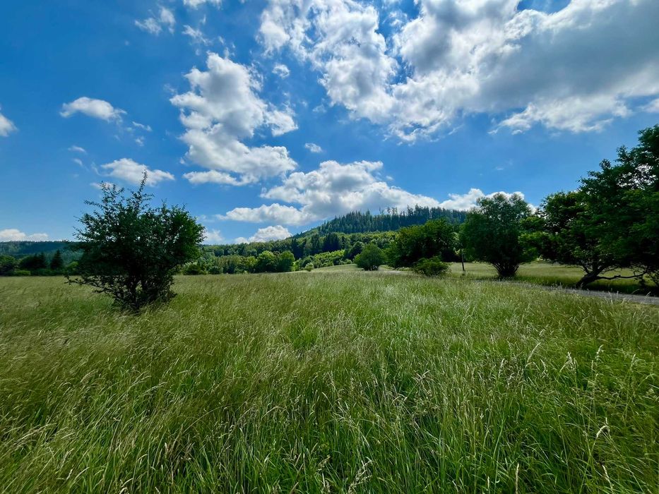 Działka budowlana 300 m od lasu | Szczytna | 12 a