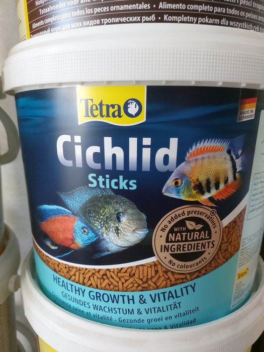 Тетра Цихлід, Золота рибка для Черепах, Кої, Цихлід