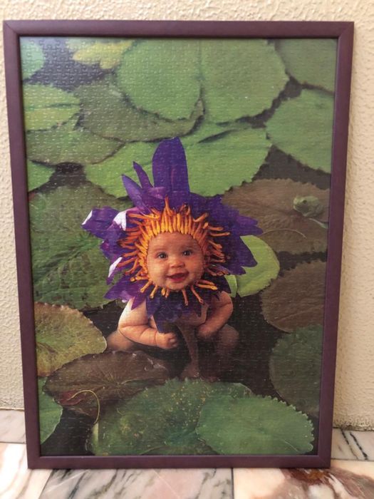 Variados quadros de puzzle