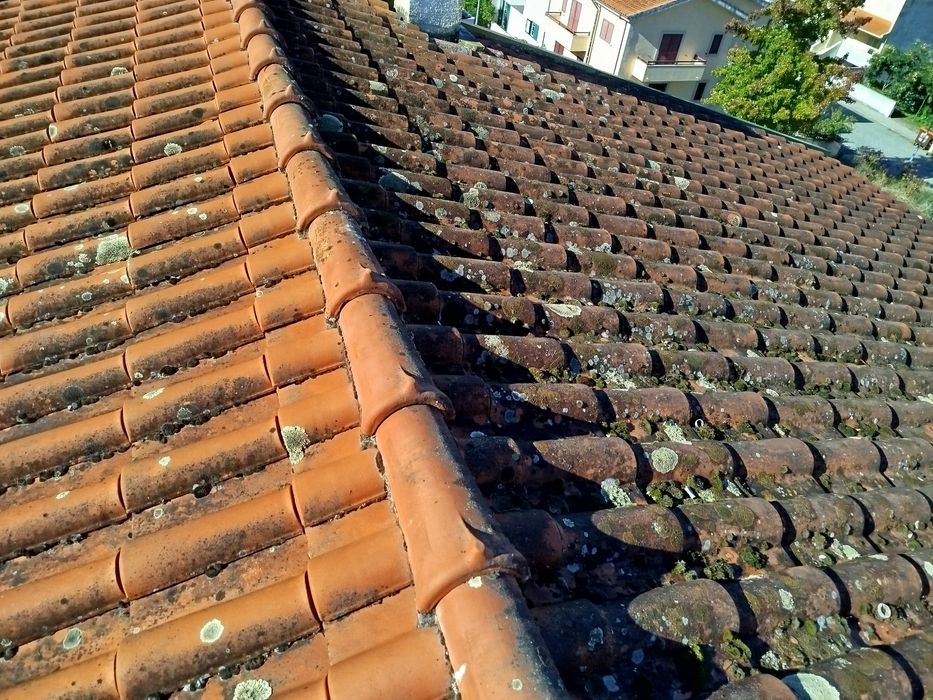 Limpeza e tratamento de telhados