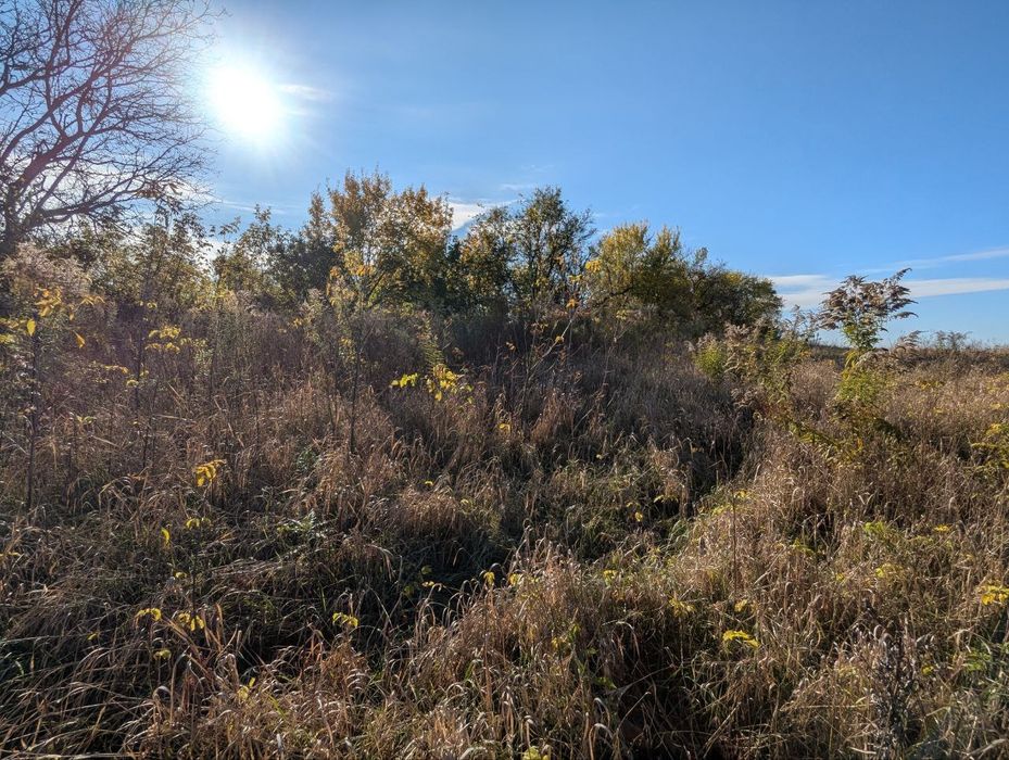 Продаж земельної ділянки