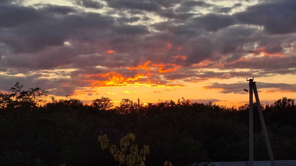 Поселю в дом 2 комнаты, участок.