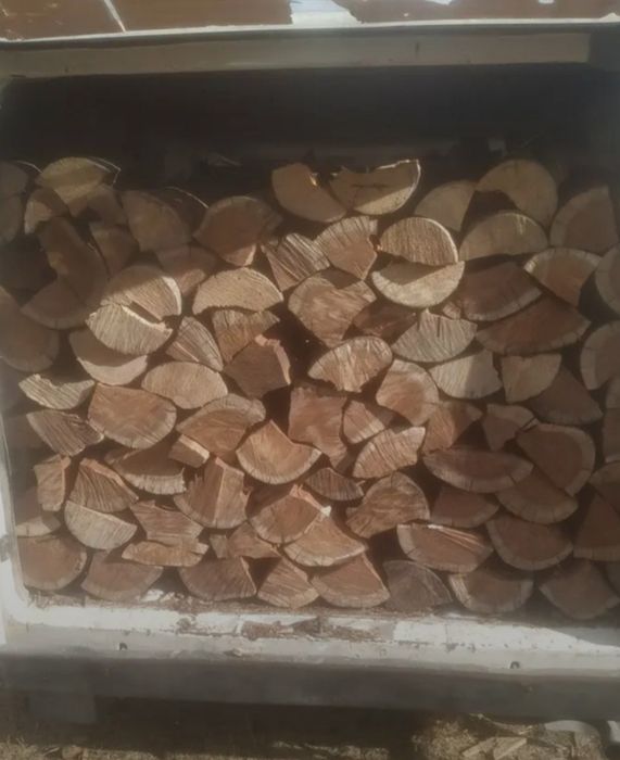 Vendo lenha seca