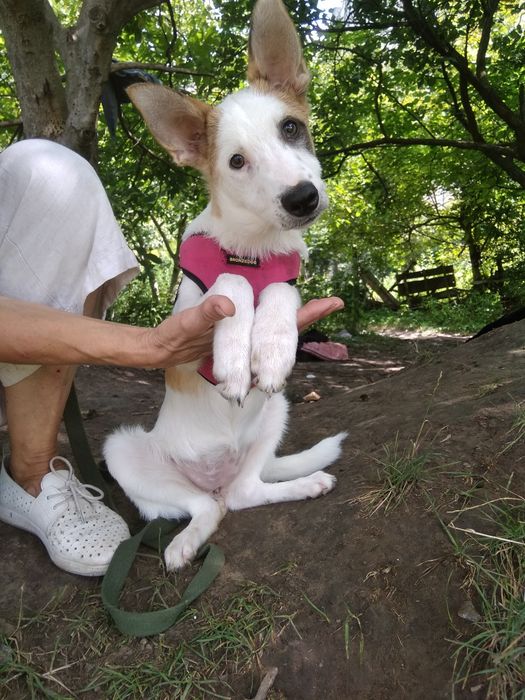 Луна в добрые руки!