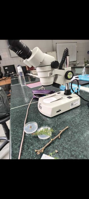 Korepetycje z biologii