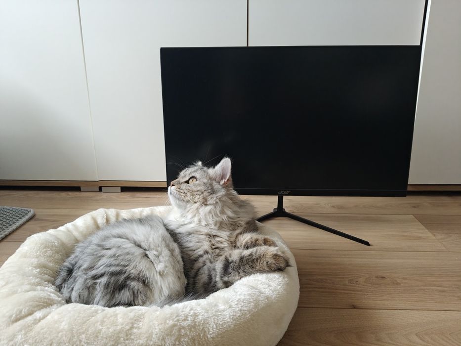 Acer QG240Y 180HZ 1ms