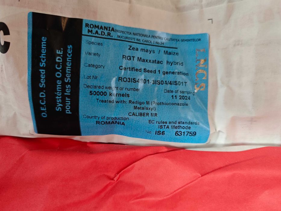 RGT Maxxatac nasiona kukurydzy, kukurydza na ziarno do siewu