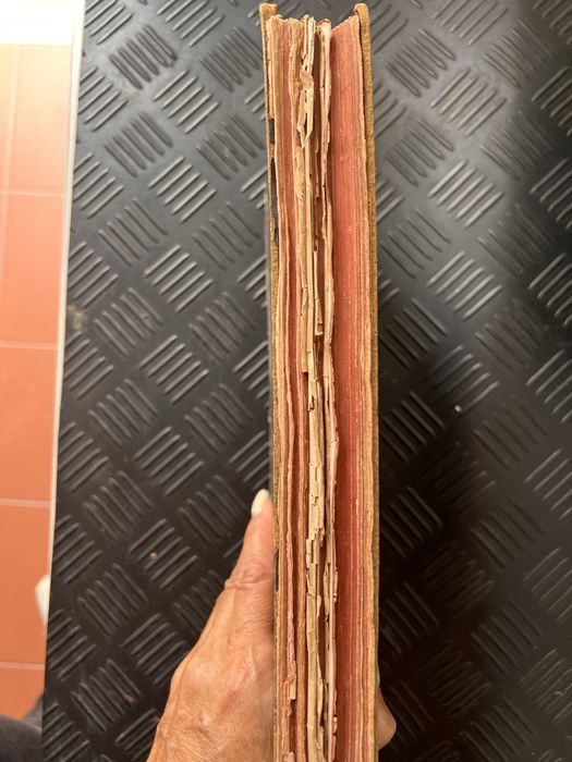 Livro o papa negro vintage E. Mezzabotta