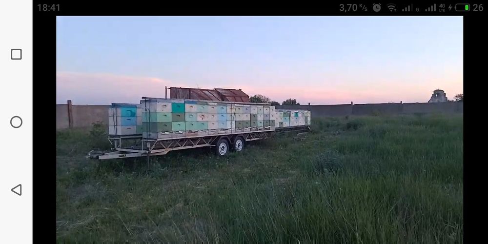 Продам пасику  з пчолами можно по штучно Улья  и всем компликтующем, ц