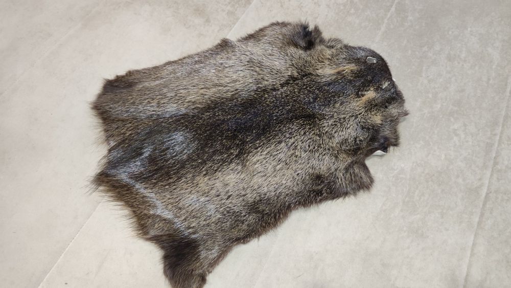 Шкура нутрії 4 штуки