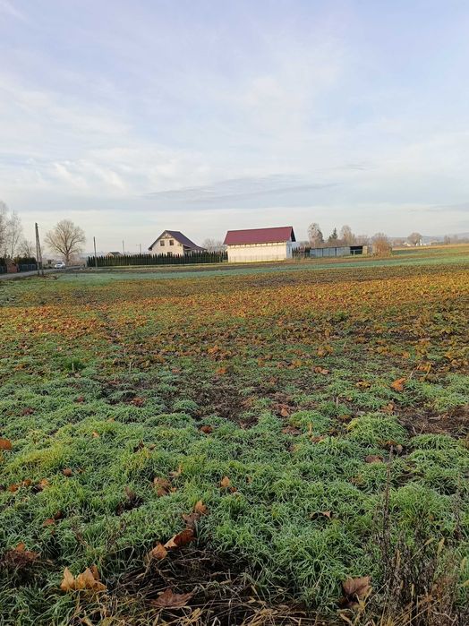 Działki na sprzedaż
