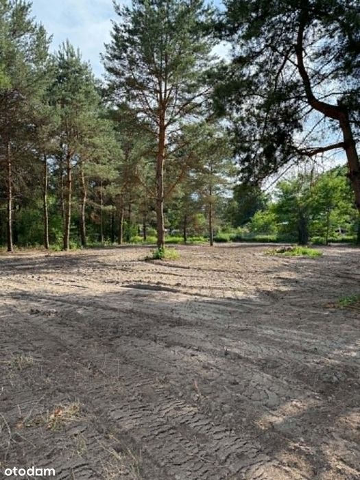 Działki budowlane 1500 m² przy lesie | Szczęsne | 1,2 km do WKD - Widok 4