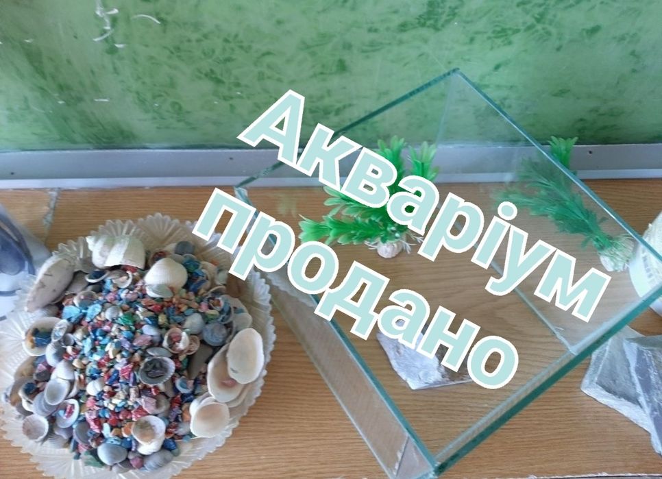 Акваріум  і аксесуари