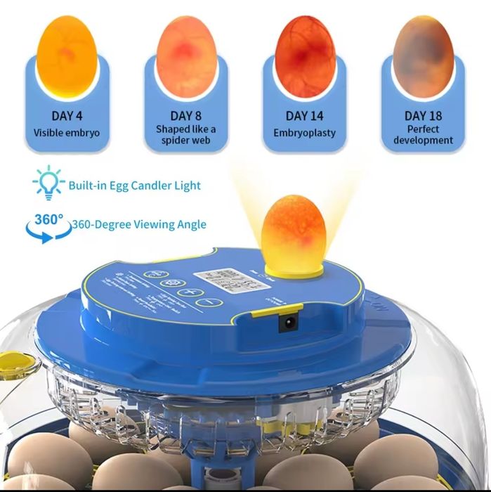 Incubadora / Chocadeira 18 Ovos Automática - Nova