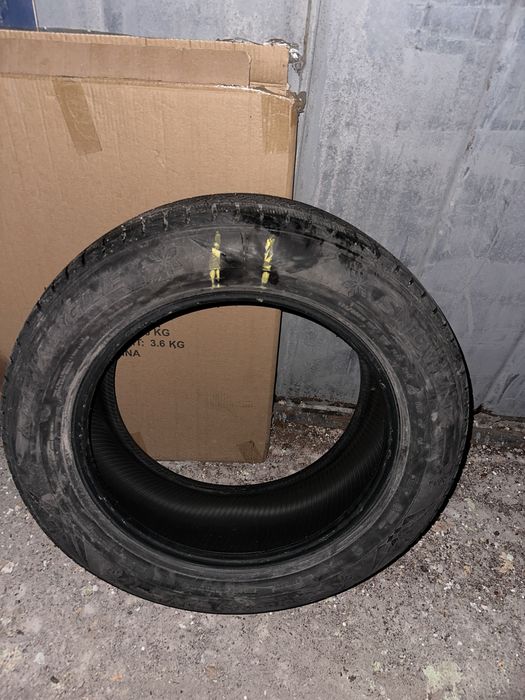 255/55 R19 Triangle PL02 111R XL (Китай, 2021)