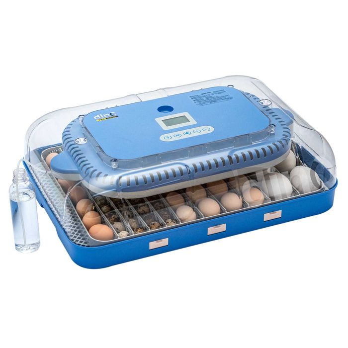 Inkubator Automatyczny klujnik DINO PRO 70jaj kur kaczek gęsi 12V 230V