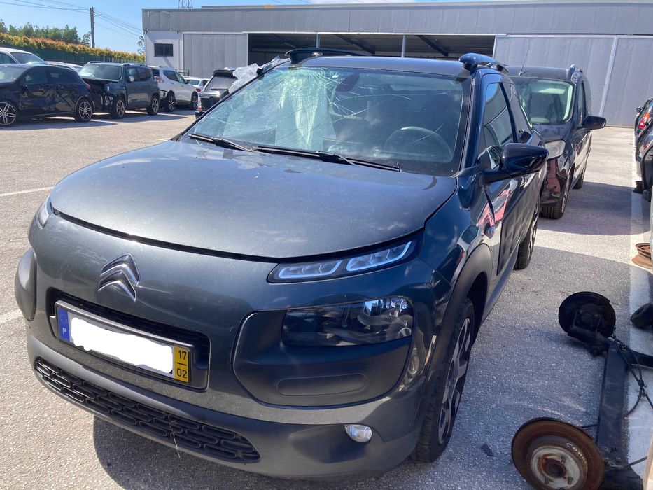 C4  CACTUS 2017 Gasoleo