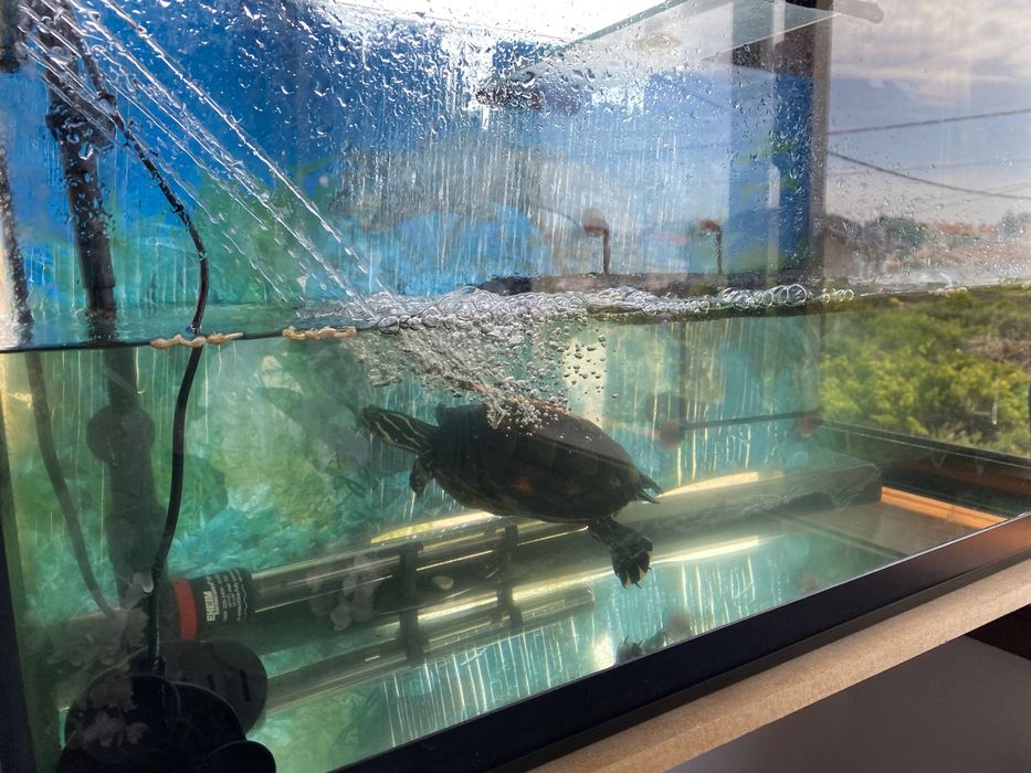 Termoestato, bomba de ar63825792326401121