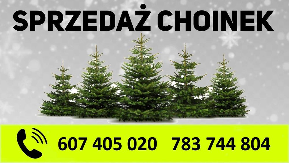 Sprzedaż choinek