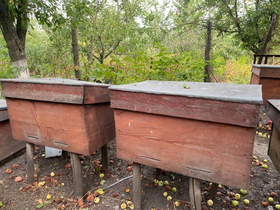 Продам вулики для бджіл Кіровоградська обл.