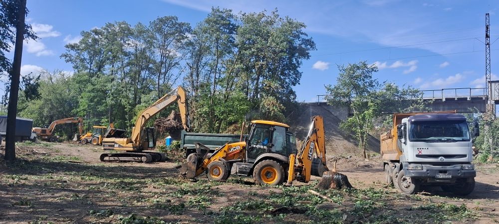 Расчистка участка обрезка спил деревьев корчевание пьней обрезка веток