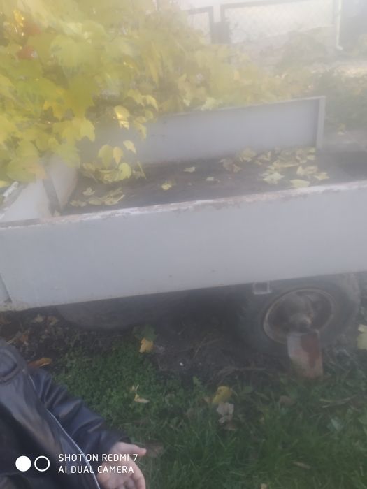 Мотоблок з прицепом.