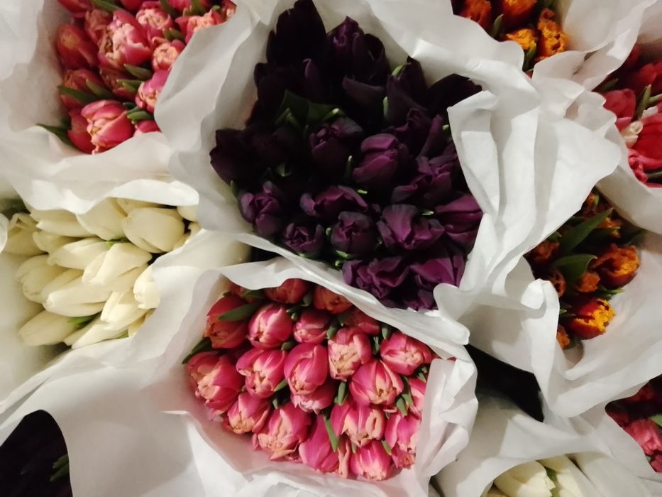 Тюльпани оптом до 8 Березня