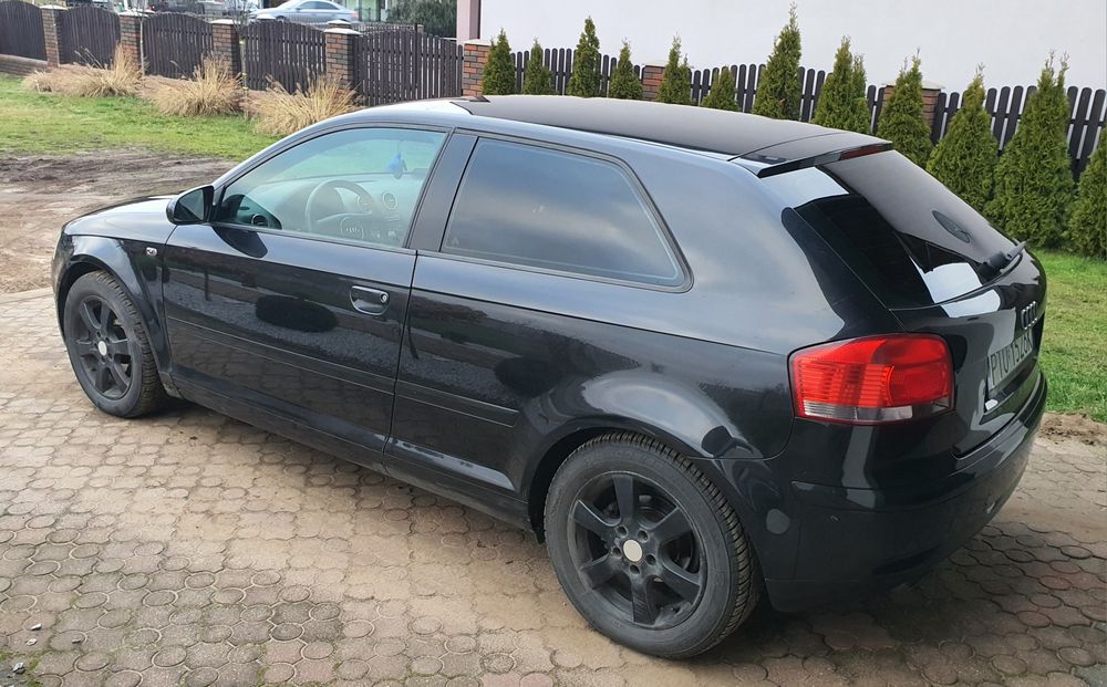 Audi A3 8P 1.9 tdi BKC