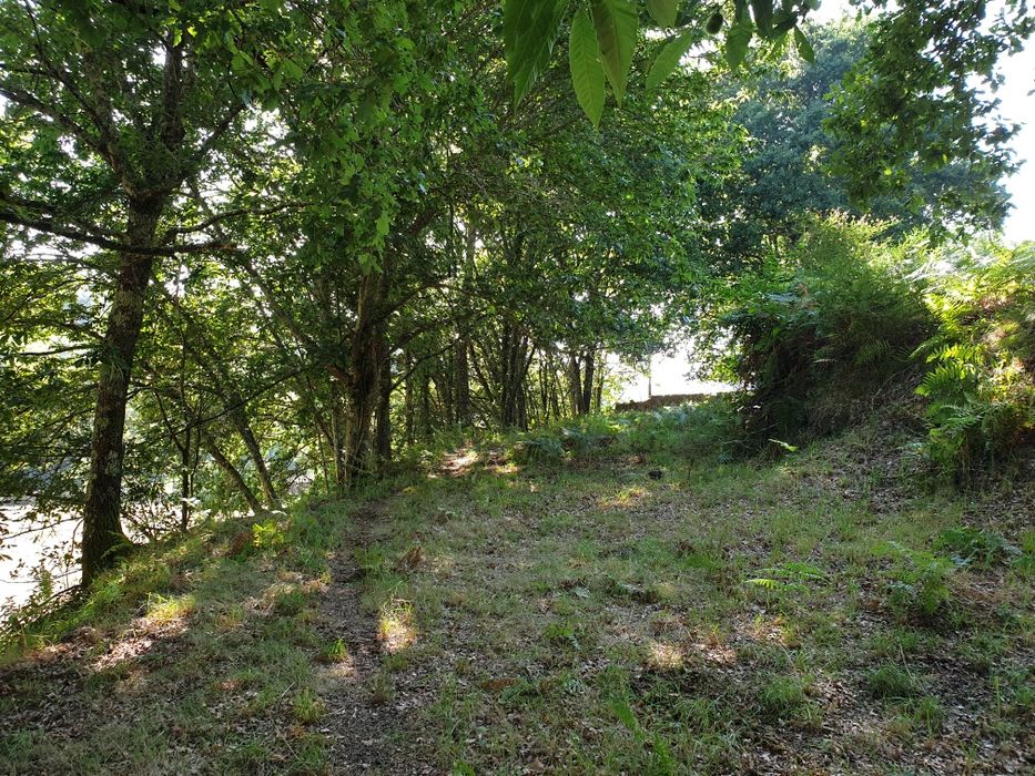 Campo com duas leiras encostado ao afluente do rio Ave