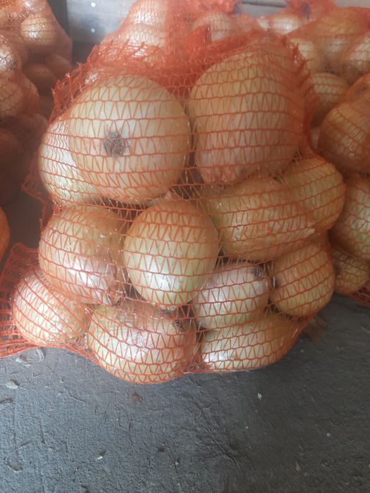 Sprzedam cebulę cukrową