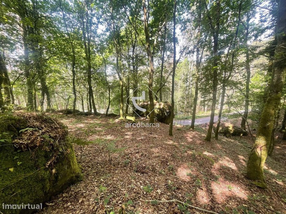 Terreno florestal com 13 160m2 - Formariz - Paredes de Coura