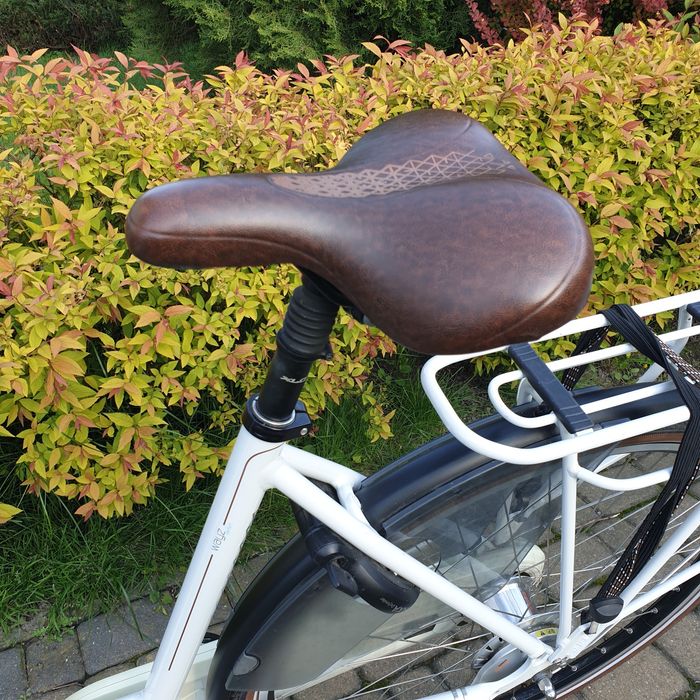 Batavus Wayz Comfort N7 100% made in Holland