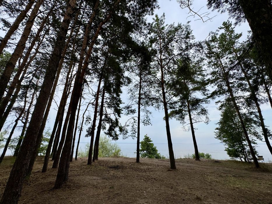 Продаж ділянки від 40 соток до 10Га. с. Ясногородка Киівська область