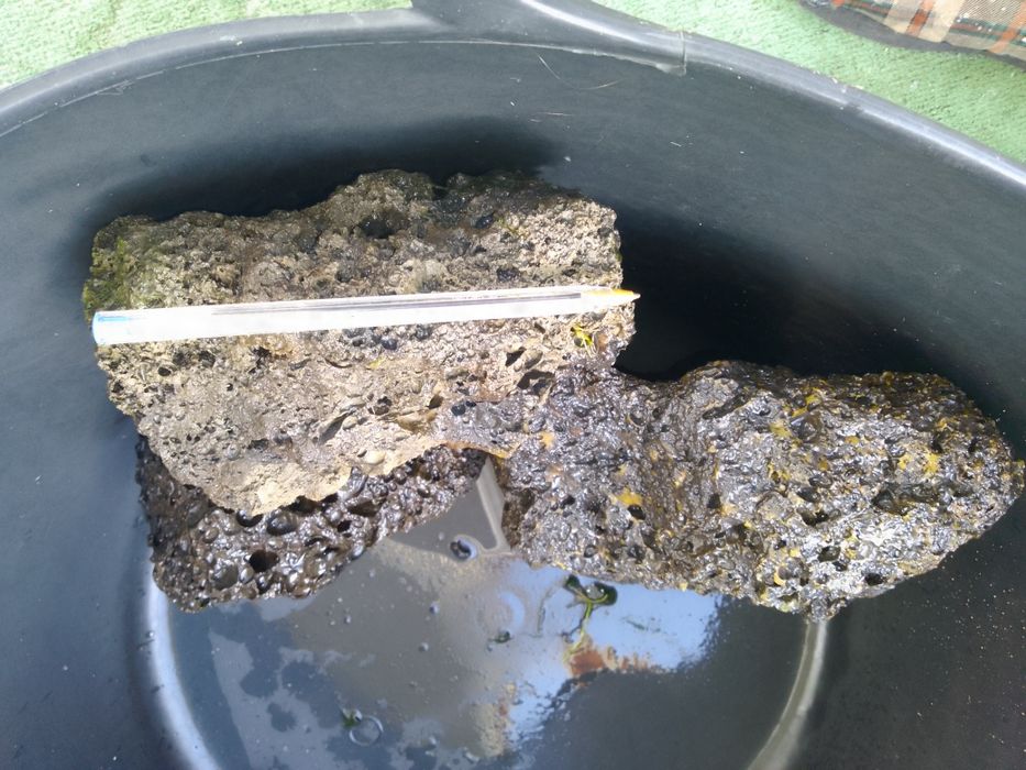 Três Rochas Vulcânicas para aquário de 60 lts ou mais.