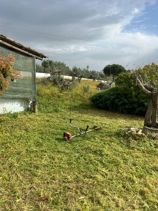 Pedreiro, pintor,limpeza de jardins terrenos fazermos churrasqueiras  personalizadas  contando com o espaço que tem  não hesite em  contactar.