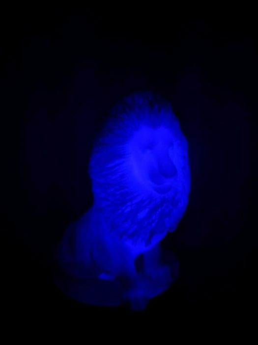 Leão luminescente c/ luz RGB