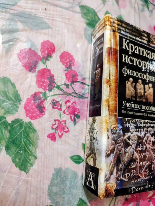 Краткая история философии книга учебное пособие