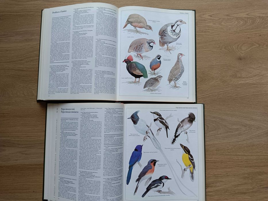 Moderna enciclopédia de animais