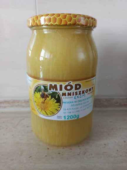 Miód Mniszkowo klonowy z Doliny Rospudy Suwalszczyzny 2025r.