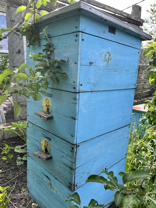 Продам вулики корпуса 230 мм Рута б/в