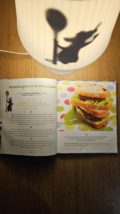 Livro de Receitas do Ratatui (Francês)