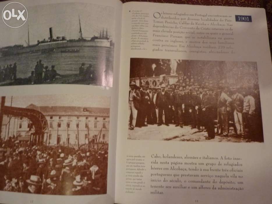 2 Livros de Ouro, Diário de Notícias